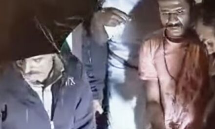 ഇടുക്കിയിൽ ക്രൂര കൊലപാതകം, അച്ഛനെയും അമ്മയെയും കൊന്ന ശേഷം ദൃശ്യങ്ങൾ ബന്ധുവിന് അയച്ചു; ആന്തരിക അവയവങ്ങൾ പുറത്തുവന്ന നിലയിൽ: പ്രതി മദ്യലഹരിയിൽ
