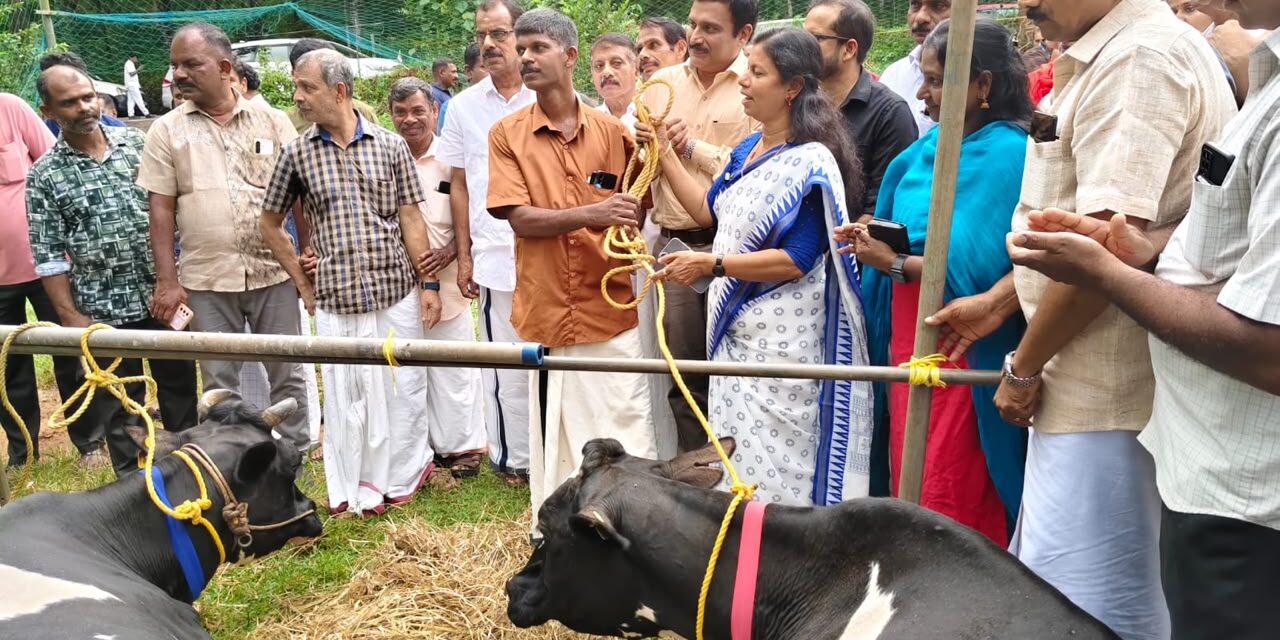 തീക്കോയിയിൽ വെള്ളപ്പൊക്കത്തിൽ പശുക്കളെ നഷ്ടപ്പെട്ട അനിൽകുമാറിന് ആശ്വാസവുമായി മന്ത്രി ബിന്ദു കൃഷ്ണ