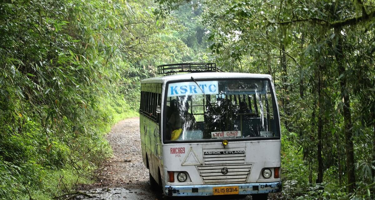 കെഎസ്ആര്‍ടിസി ബസിനുളളിലേക്ക് തേനിച്ചകൂട് പതിച്ചു, കാട്ടുതേനിച്ചയുടെ കുത്തേറ്റ് ബസ് ജീവനക്കാരും യാത്രക്കാരും ചികിത്സ തേടി