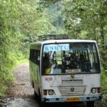 കെഎസ്ആര്‍ടിസി ബസിനുളളിലേക്ക് തേനിച്ചകൂട് പതിച്ചു, കാട്ടുതേനിച്ചയുടെ കുത്തേറ്റ് ബസ് ജീവനക്കാരും യാത്രക്കാരും ചികിത്സ തേടി