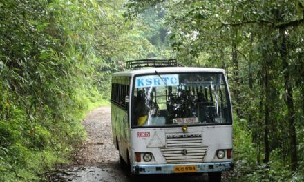 കെഎസ്ആര്‍ടിസി ബസിനുളളിലേക്ക് തേനിച്ചകൂട് പതിച്ചു, കാട്ടുതേനിച്ചയുടെ കുത്തേറ്റ് ബസ് ജീവനക്കാരും യാത്രക്കാരും ചികിത്സ തേടി