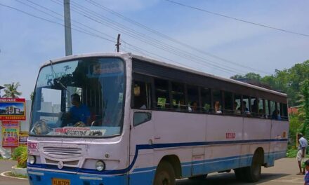 ബസ് മാറി കയറി, പരിഭ്രാന്തിയില്‍ റോഡിലേക്ക് ചാടിയ വീട്ടമ്മയ്ക്ക് ഗുരുതരപരിക്ക്