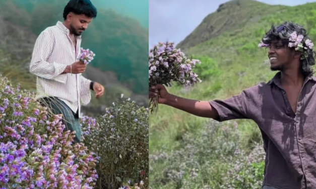 സംരക്ഷിത സസ്യമായ നീലക്കുറിഞ്ഞി പറിച്ചെടുത്ത് ഫോട്ടോഷൂട്ട്; ഇൻസ്റ്റാഗ്രാം പോസ്റ്റ് വൈറലായതിന് പിന്നാലെ വനംവകുപ്പ് നടപടി