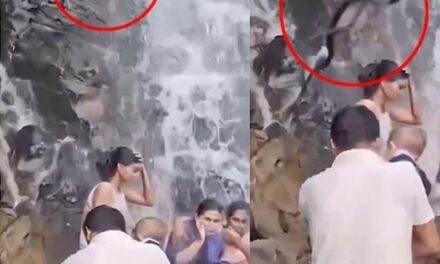 ഓടിക്കോ, ഇത് വലിയ പാമ്പാണ്, മൂർഖനാണ് : കൈക്കുഞ്ഞുമായി വെള്ളച്ചാട്ടം കാണാനെത്തിയ യുവാവിന്റെ തോളിലേക്ക് പാമ്പ് വീണു; ഞെട്ടിക്കുന്ന ദൃശ്യം വൈറൽ