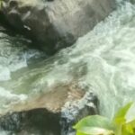 മഴക്കെടുതിയിൽ വിറച്ച് കേരളം, ഇടുക്കിയിൽ കനത്ത മഴയും മണ്ണിടിച്ചിൽ ഭീഷണിയും; മലയോര മേഖലകളിൽ രാത്രിയാത്ര നിരോധിച്ച് ജില്ലാ ഭരണകൂടം