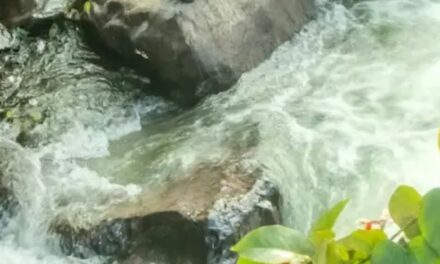 മഴക്കെടുതിയിൽ വിറച്ച് കേരളം, ഇടുക്കിയിൽ കനത്ത മഴയും മണ്ണിടിച്ചിൽ ഭീഷണിയും; മലയോര മേഖലകളിൽ രാത്രിയാത്ര നിരോധിച്ച് ജില്ലാ ഭരണകൂടം