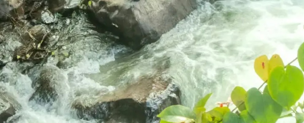 മഴക്കെടുതിയിൽ വിറച്ച് കേരളം, ഇടുക്കിയിൽ കനത്ത മഴയും മണ്ണിടിച്ചിൽ ഭീഷണിയും; മലയോര മേഖലകളിൽ രാത്രിയാത്ര നിരോധിച്ച് ജില്ലാ ഭരണകൂടം