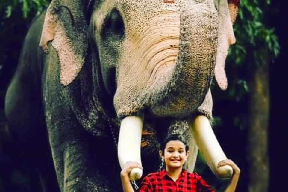 പല്ലാട്ട് ബ്രഹ്മദത്തനും … ഞാനും …നടി മീനാക്ഷിയുടെ  വൈകാരികമായ ഫേസ്ബുക്ക് കുറിപ്പ് വൈറല്‍