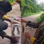 മൂർഖൻ പാമ്പിനെ പിടികൂടി കുപ്പിയിലാക്കി വീട്ടിലേക്ക് കൊണ്ടുവന്നു, പുറത്തെടുക്കവേ കടിയേറ്റു; പാമ്പുപിടുത്തക്കാരന് ദാരുണാന്ത്യം