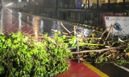 തീരം തൊട്ട് ‘അർണബ്’; ആന്ധ്രയിൽ കനത്ത മഴ, ട്രെയിനുകളും വിമാനങ്ങളും റദ്ദാക്കി