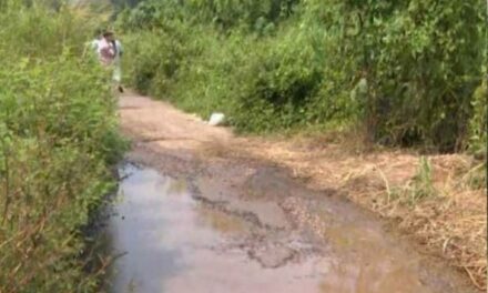 വെള്ളക്കാറിൽ സ്ത്രീയും നീളൻ മുടിയുള്ള പുരുഷനും; പത്തനംതിട്ടയിൽ രണ്ടിടത്ത് കുട്ടികളെ തട്ടിക്കൊണ്ടുപോകാൻ ശ്രമമെന്ന് പരാതി